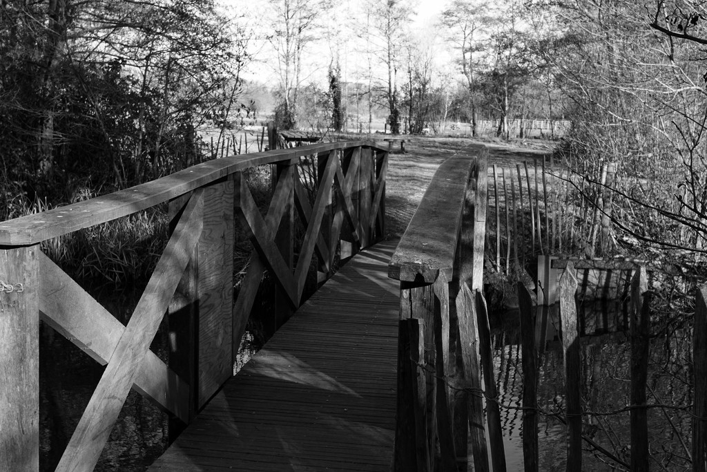 footbridge in light and shadow by quietpurplehaze