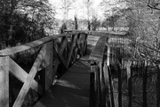 27th Feb 2017 - footbridge in light and shadow