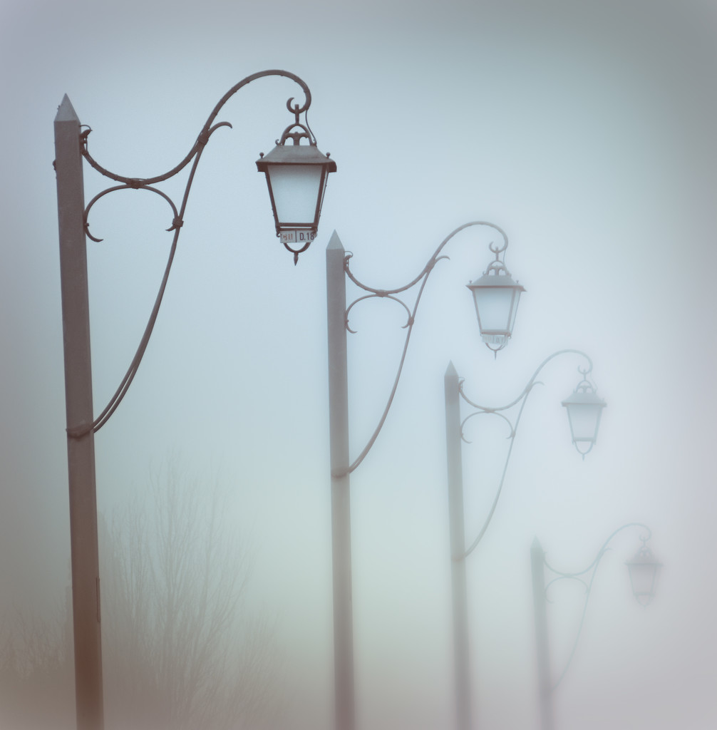 walk in the morning mist by jerome