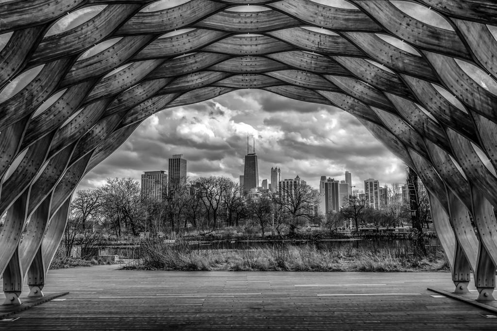 Through the Honeycomb to the City by taffy