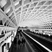 The Hypnotic Ceiling of the DC Metro Station by alophoto