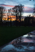 28th Feb 2017 - Morden Hall Park at sunset