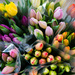 tulip season by tracymeurs