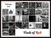 28th Feb 2017 - Flash of Red 2017