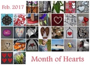 28th Feb 2017 - Month of Hearts