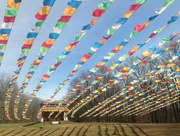 26th Feb 2017 - Tibetan Cultural Center 