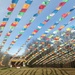 Tibetan Cultural Center  by gratitudeyear