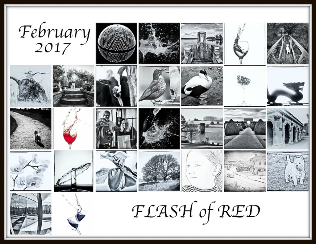 2017 03 01 - Flash of Red  by pamknowler