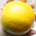 Lemon ball by cherrymartina