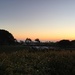 Southern Cali Sunset  by kdrinkie