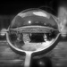 Garden through a crystal ball by judithdeacon