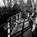 bridge and shadows by ianmetcalfe