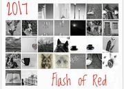1st Mar 2017 - Flash of Red finale
