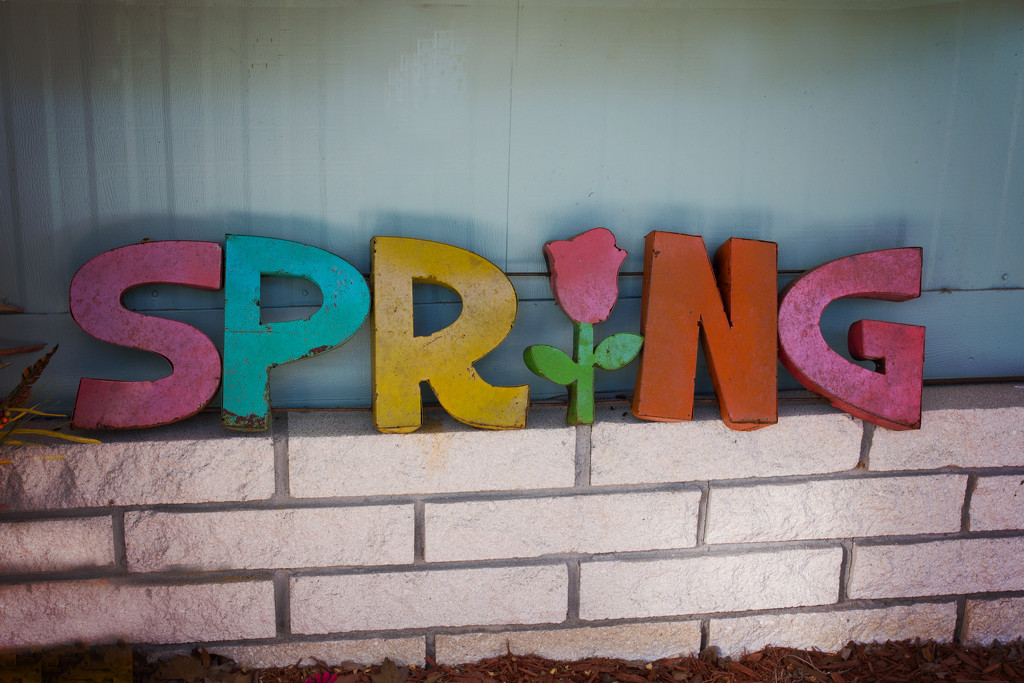 Spring Forward? by swwoman