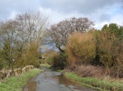 2nd Mar 2017 - Country Lane