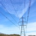 Electricity  by 365projectdrewpdavies