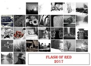 2nd Mar 2017 - Flash of Red fully finished.