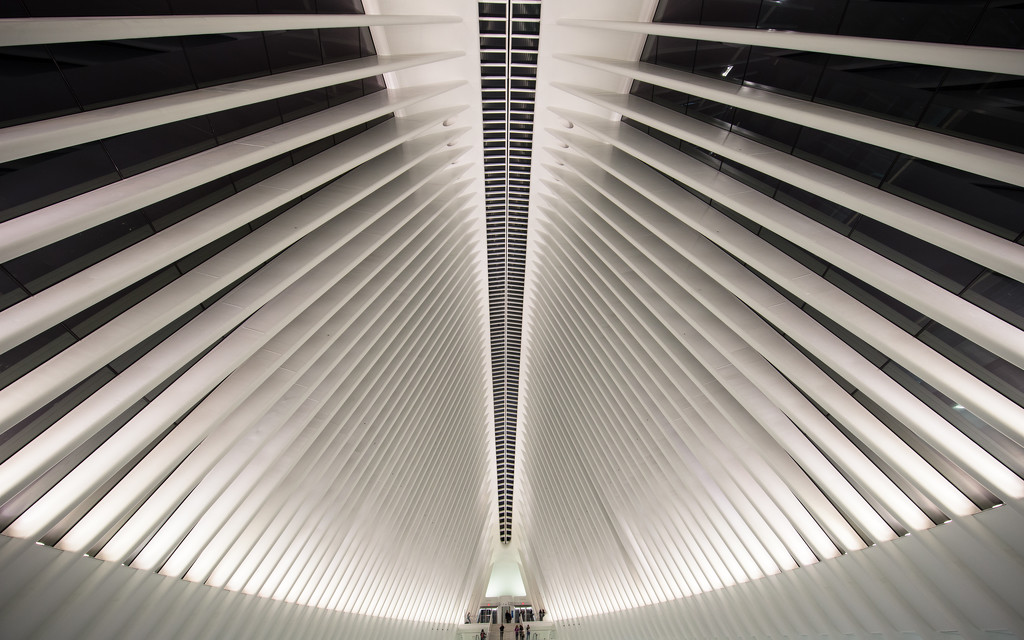 Oculus by Santiago Calatrava  by jyokota