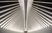 2nd Mar 2017 - Oculus by Santiago Calatrava 