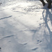 0226_0092 Foodprints in the snow by pennyrae