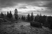 3rd Mar 2017 - Black and White Bench 