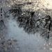 Snow Bokeh by jamibann
