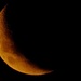 Moon by dkbarnett
