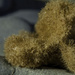Seaside Sponge by evalieutionspics