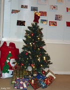 24th Dec 2010 - Christmas