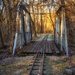 Al Foster Trail by jae_at_wits_end