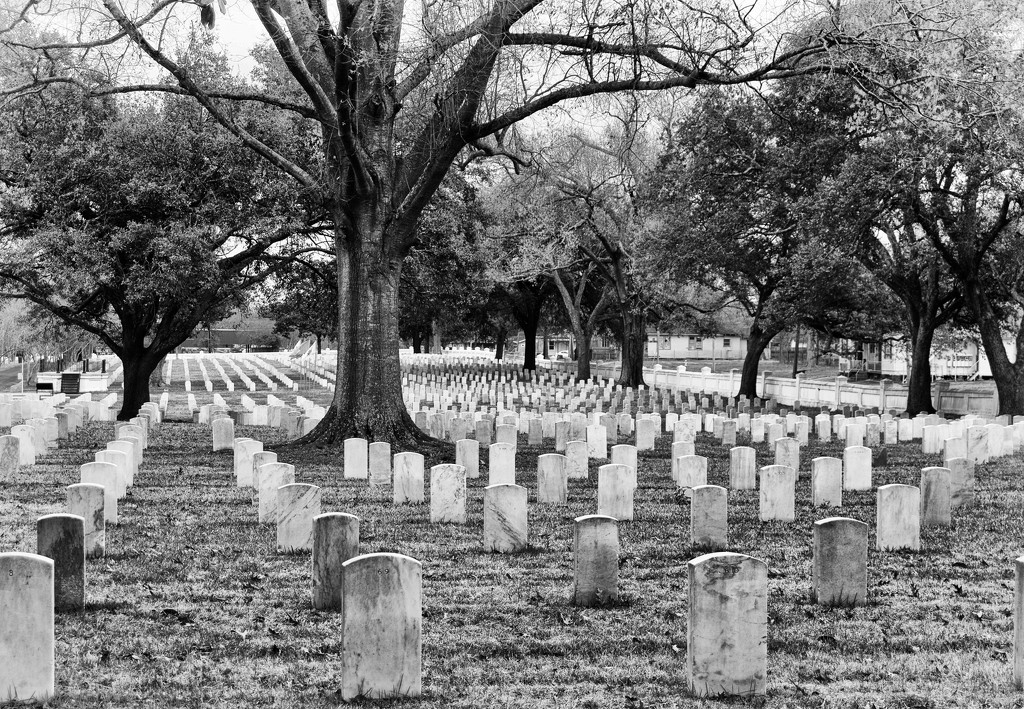 Cemeteries and me by eudora