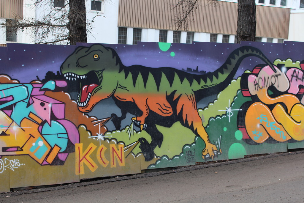 Graffiti in Helsinki by annelis
