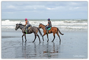 5th Mar 2017 - Horses on the Beach... 