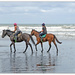Horses on the Beach...  by julzmaioro