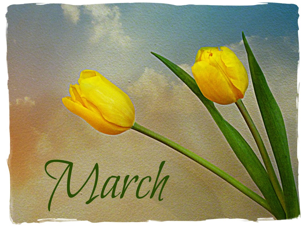March by peggysirk