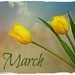 March by peggysirk