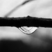 Raindrop by mattjcuk