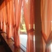 Orange Curtains  by gratitudeyear