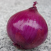 Purple onion by cherrymartina
