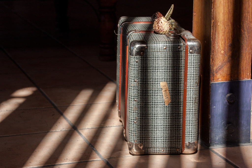 Suitcase #3 by seacreature