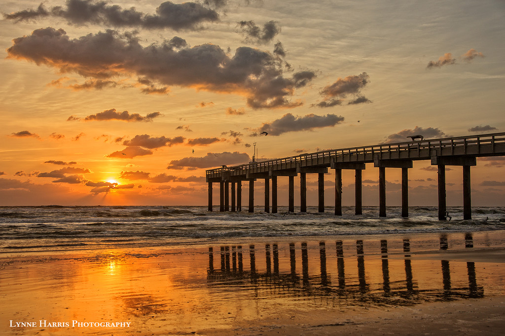Sunrise at St Augustine Beach by lynne5477