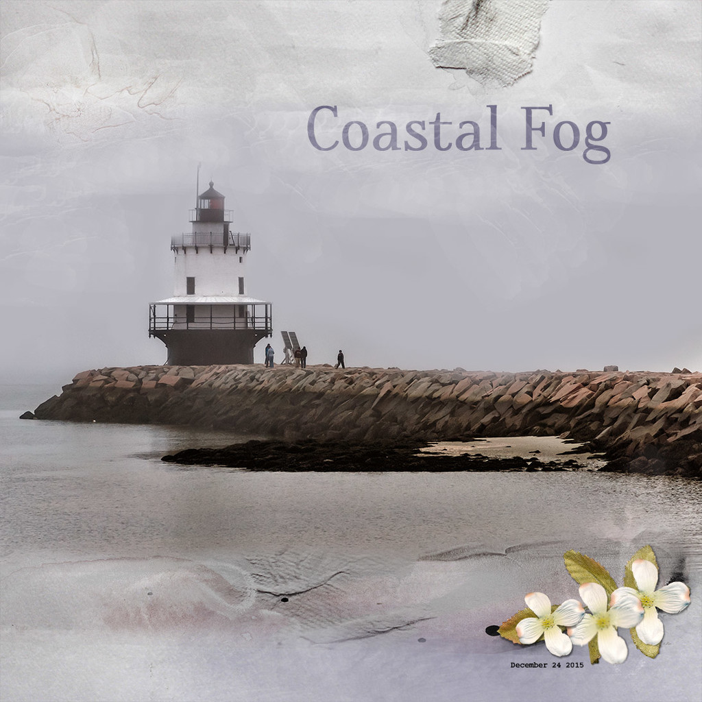 Coastal Fog by joansmor