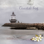 5th Mar 2017 - Coastal Fog