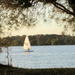 Sailing the Maroochy River by 777margo