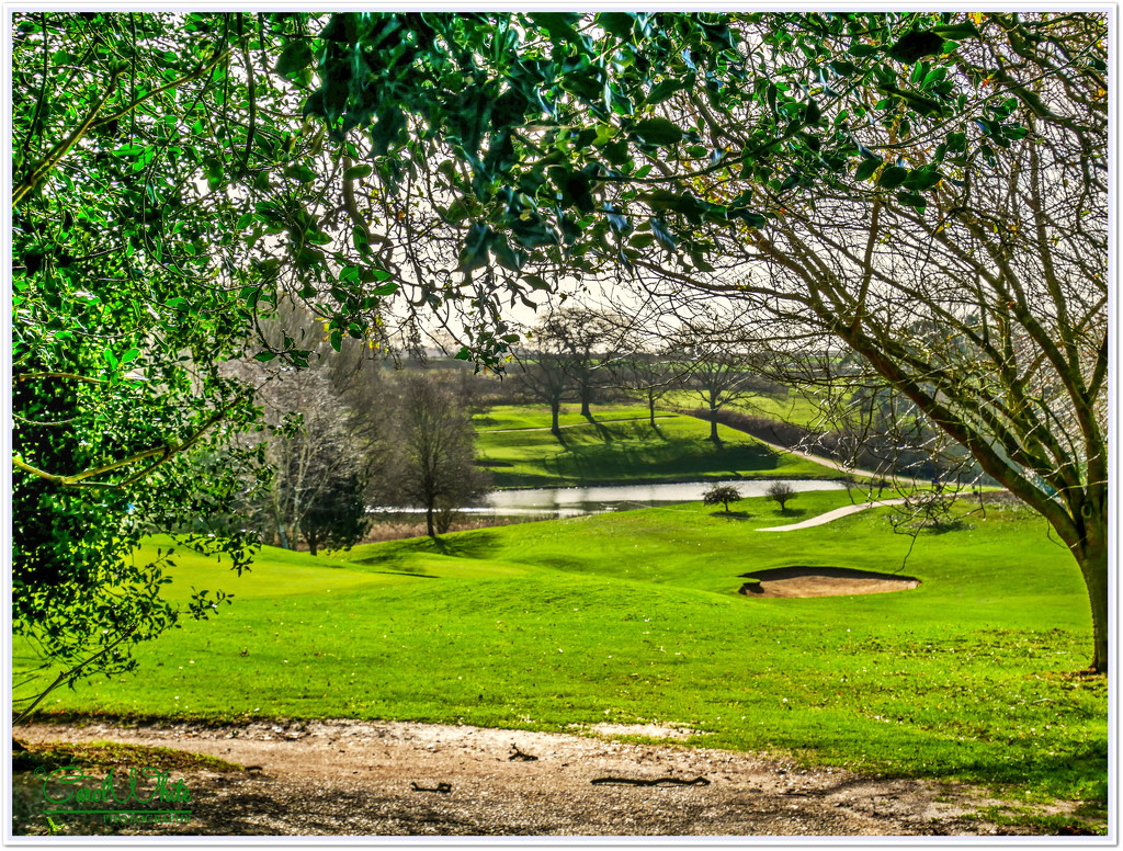 The Golf Course,Harlestone by carolmw