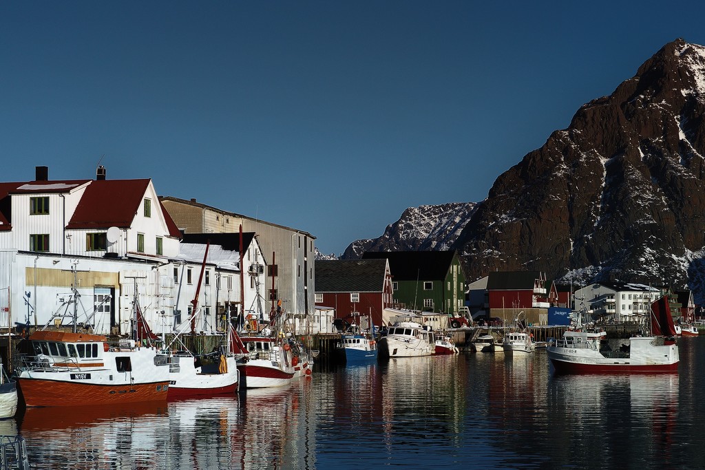 The inner harbour at Henningsvær, Lofoten islands. by laroque