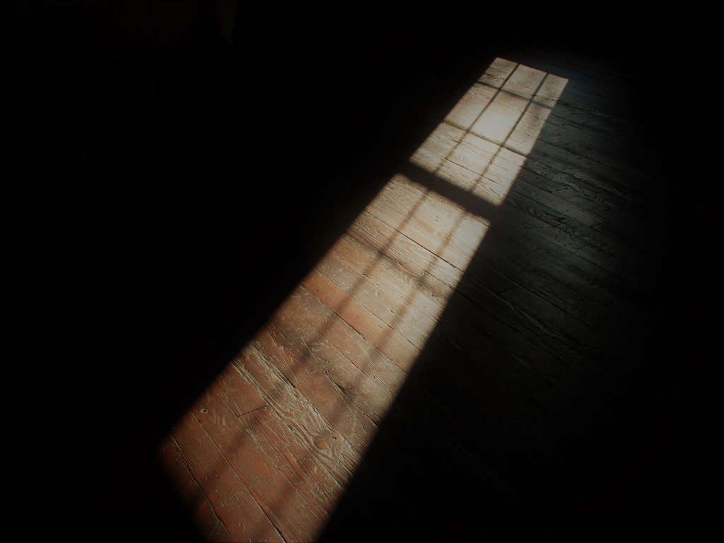 Shadow at the Ribbon Mill by beckyk365