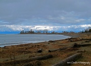 5th Mar 2017 - Parksville, B.C.  Soon the beach will be covered with children and dogs and people enjoying this wonderful piece of Canada