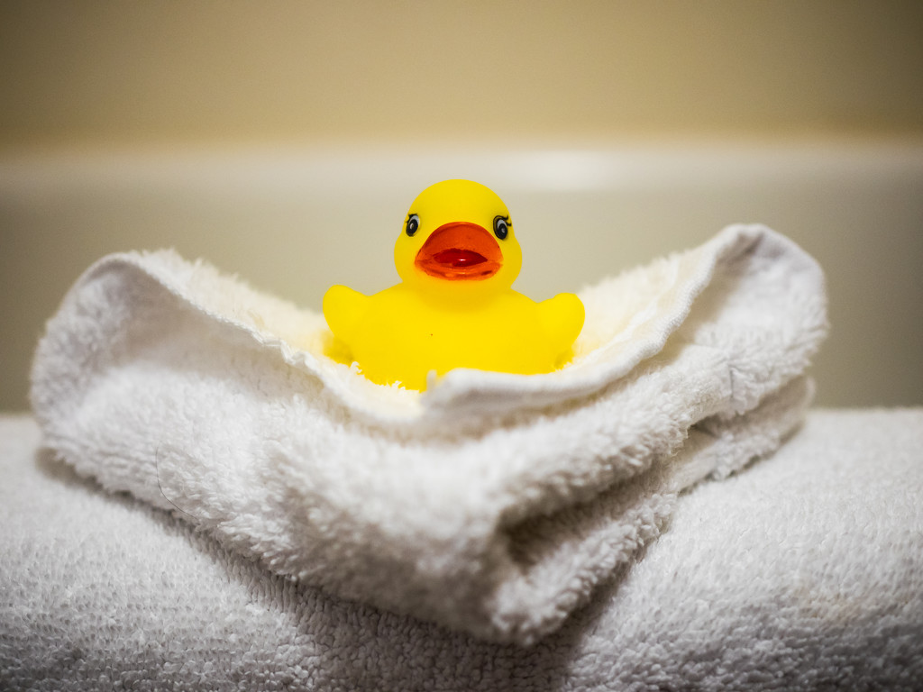 Ducky Ducky Ducky by rosiekerr