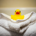 Ducky Ducky Ducky by rosiekerr